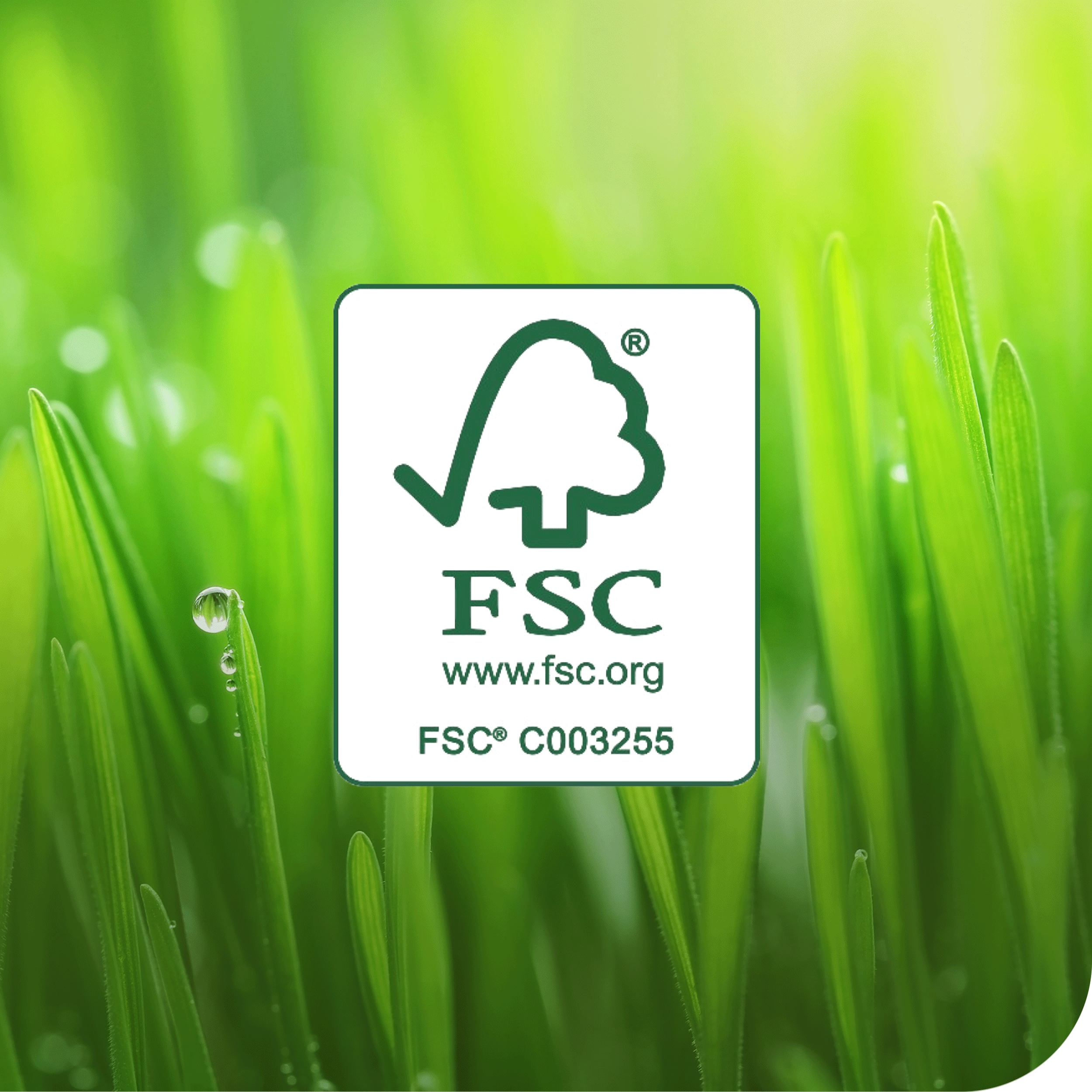 Čistiace utierky z netkanej textílie Tork Long-Lasting 1-vrstvové, 25 cm, 114 m, 300 útržkov, biele