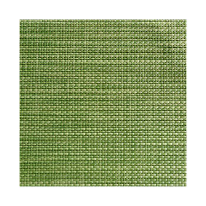 Placemat 45x33 cm dark green, PVC