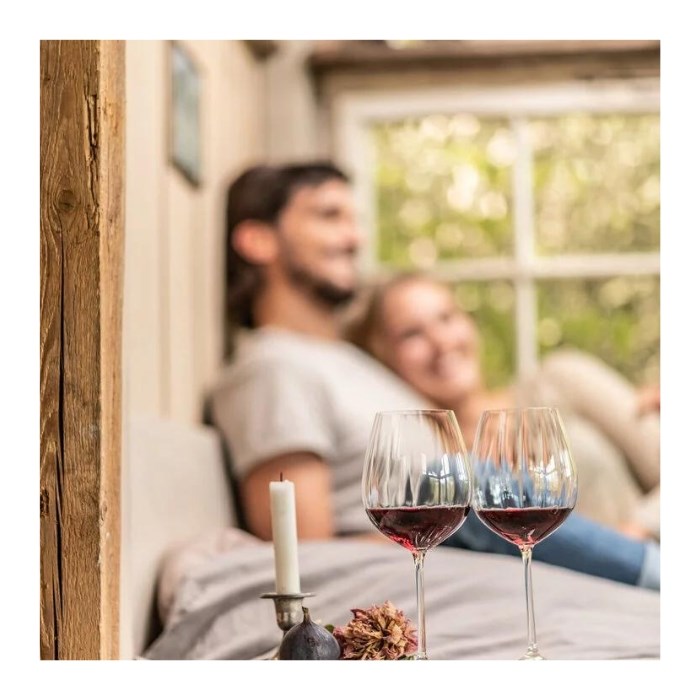 WINESHINE red wine glass 613 ml