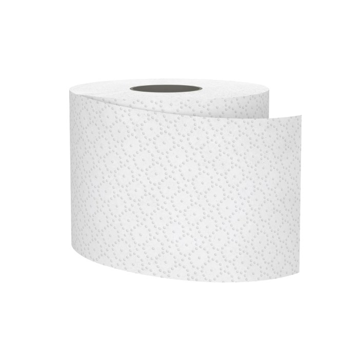 Toaletný papier SMART 2vrstvový, návin 27 m, biely