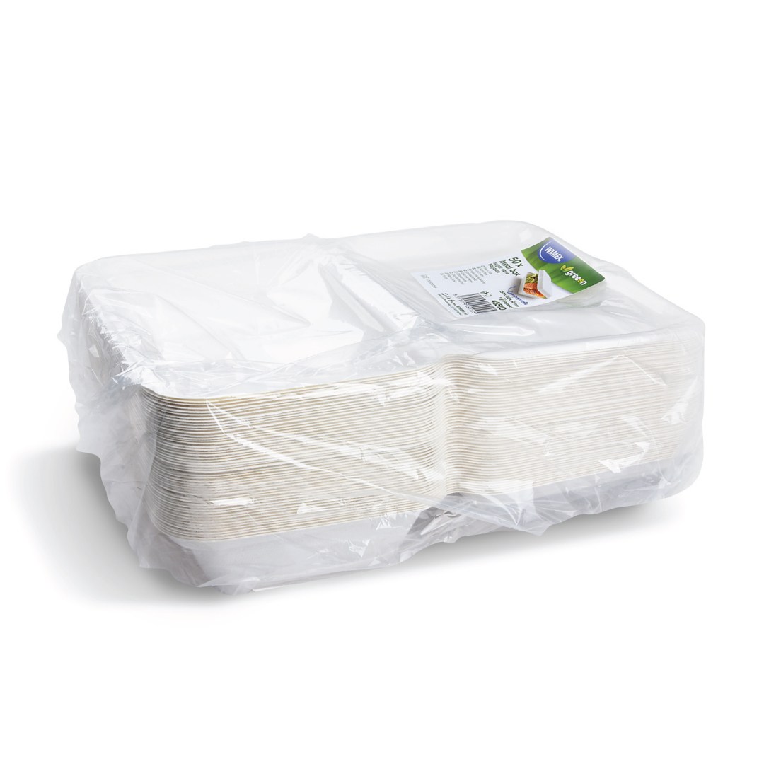 Menu box, BIO cukrová trstina, 250 x 162 x 63 mm / 50 ks